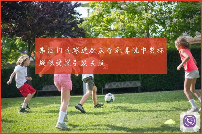 弗拉门戈球迷欢庆夺冠喜悦中奖杯疑似受损引发关注
